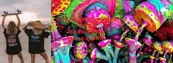 ECSTASY Армянск