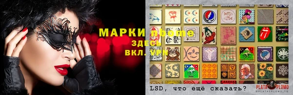ECSTASY Армянск