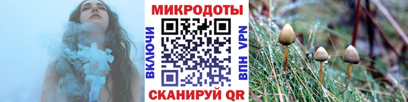 Галлюциногенные грибы MAGIC MUSHROOMS  Новозыбков 
